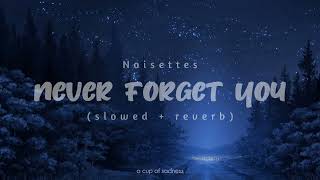noisettes - never forget you (slowed + reverb) (lyrics)
