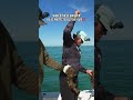 A Highly Debated Fishing Topic