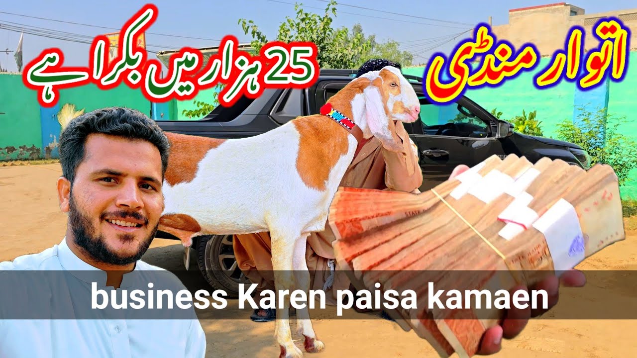Itwar Mandi Ka Kya Rate Hai Bakra Eid Mandi Video Bakra itwar-mandi-ka-kya-rate-hai-bakra-eid-mandi-video-bakra