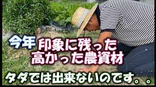 【農業経費】農業ってタダできるイメージありますが、結構経費は多い産業です。なんか今年イメージに残ってる高かったものと指標となる経費を紹介
