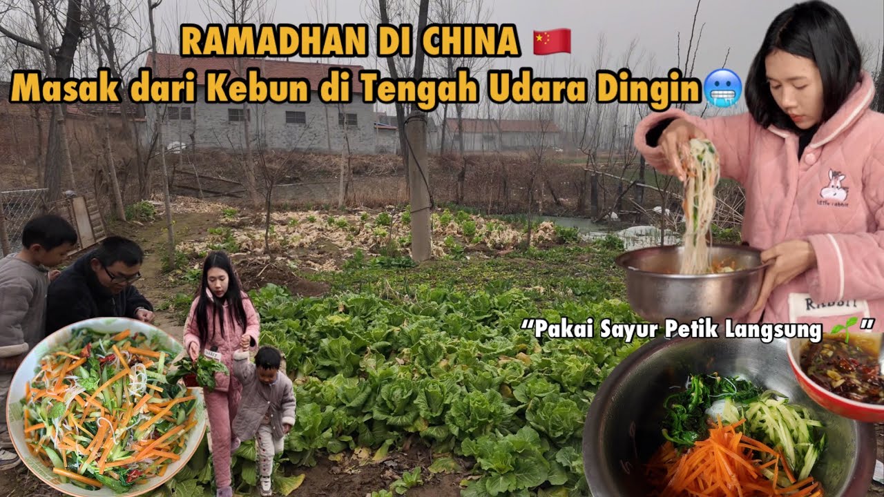 PUASA DI CHINA MUSIM DINGIN‼️❄️ Masak Buat Iftar Pakai Sayur Petik Langsung🤩