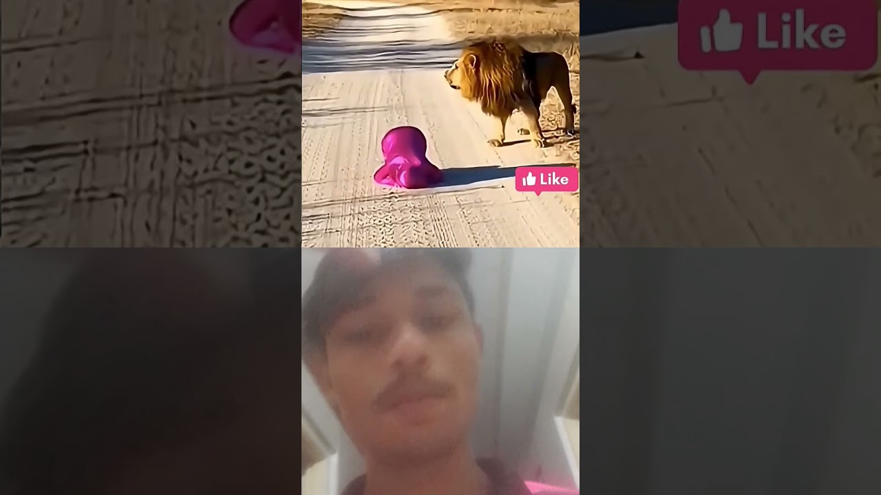 मैं मुसलमान हूँ अल्हम्दुलिल्लाह 🕋 |♥️🥺🕺 