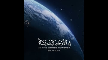 تلاوة هادئة وقصيرة  || القارئ : عبد الرحمن مسعد || سورة : ال عمران  🌷💚🌷