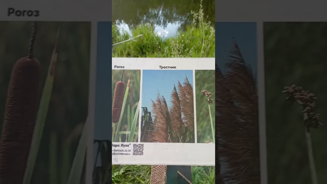 #теперьязнаю