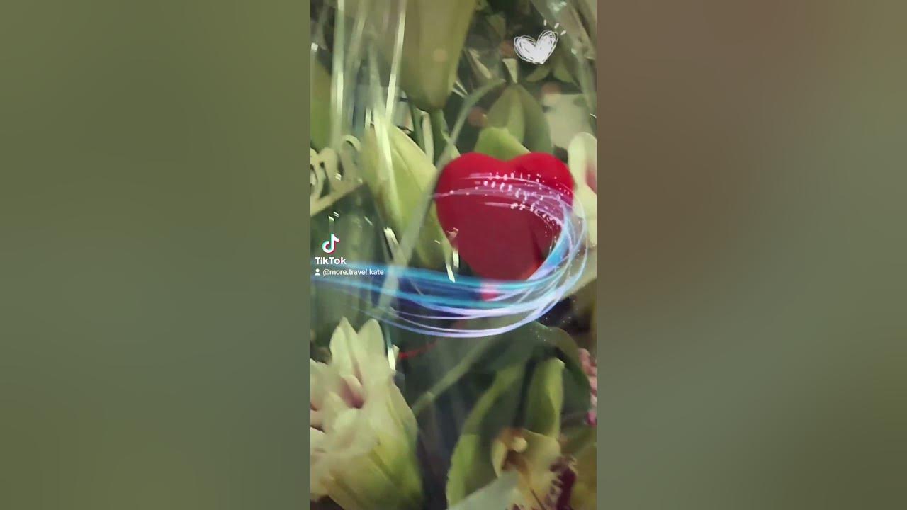 Эту сумку мне муж купил.😁 ️ - YouTube