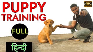 Labrador Puppy Training - Day 3 | Teach Your Puppy Shake Hand in Hindi | RONNIE THE LABRADOR by SMART DOG TRAINING 13,329 views 1 year ago 4 minutes