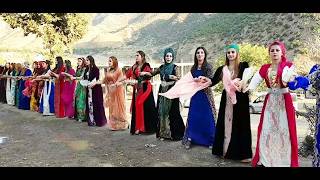 GOYAN HALAYLARI  GOWNED MILANE  ŞEMİRANE  - RUGEŞ BAZİ -- KM  PROD 2025