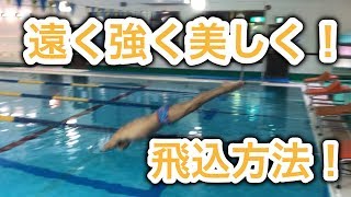 まとめ 飛び込み編 水泳の飛び込みが上手にできるような知識のまとめ 初心者から上級者まで役立つ飛び込みスキル ２児のパパスイマーの 継続は力なり