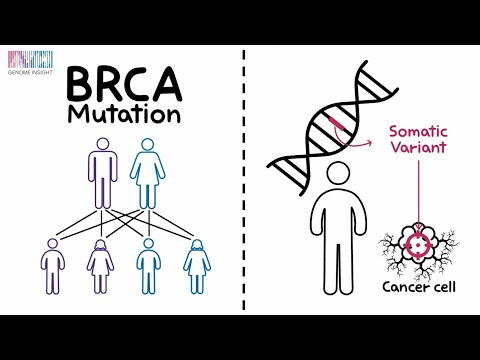 1. Germline Variant vs Somatic Variant