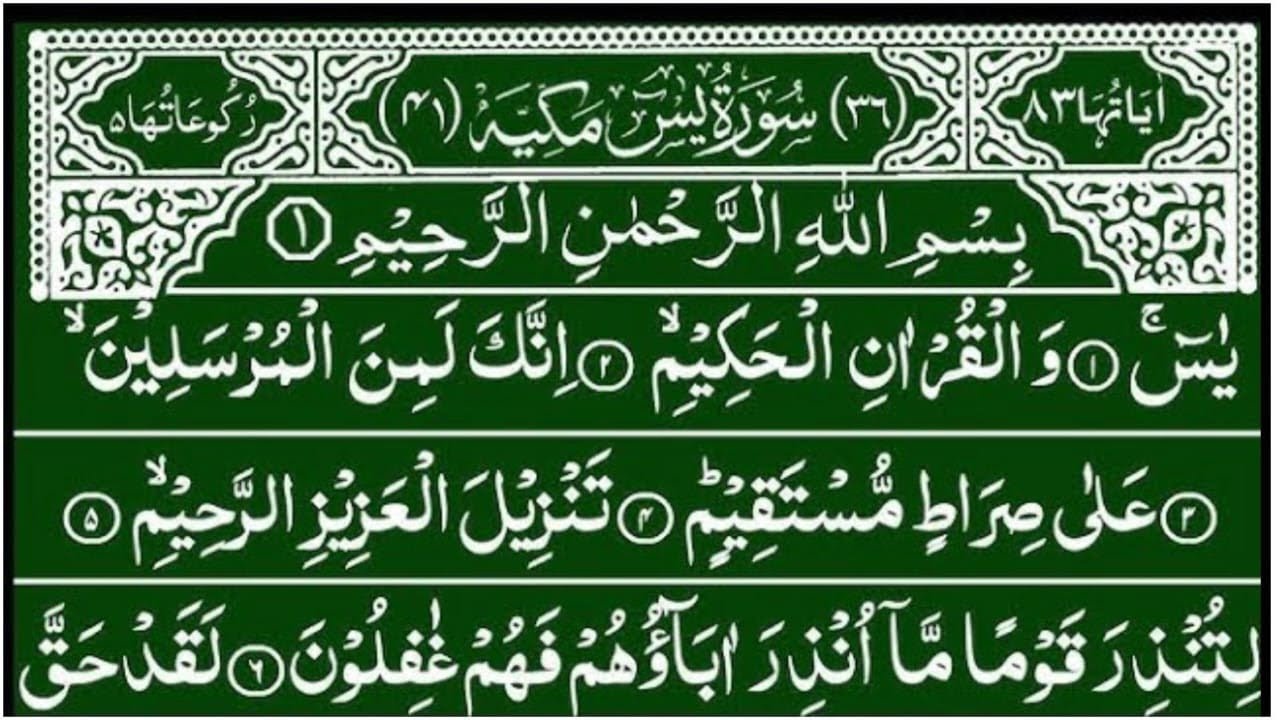 Surah Yaseen Khubsurat Tilawat || Surah Rahman Full || Ep 126 || beautiful quran recitation || quran