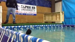 Lyla Swimming -Oops Missed The Ramp