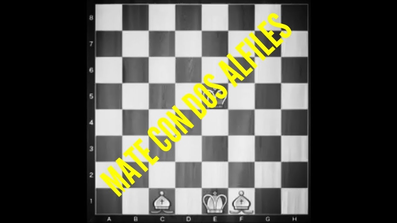 Mate con 2 Alfiles(bien explicado)