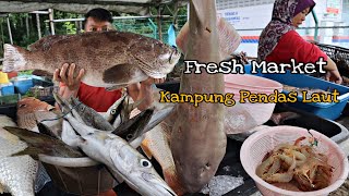 Hasil Laut Segar Di Kampug Pendas Laut,Gelang Patah,Johor //