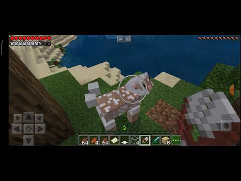 Minecraft #6 მოთხოვნილი ეპიზოდი