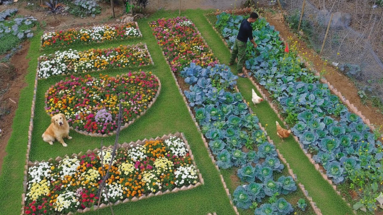 Farm Garden Makeover | Flowers & Vegetables Together🌼