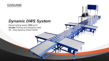 OCR Dynamic DWS swing wheel sorting line with shipping label