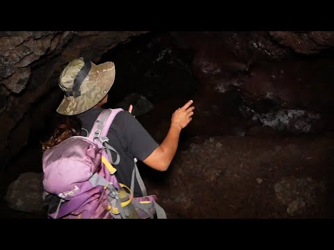 Berburu Ikan Di Rawa Malam Hari 