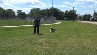 April 22, 2012 2:37 PM
