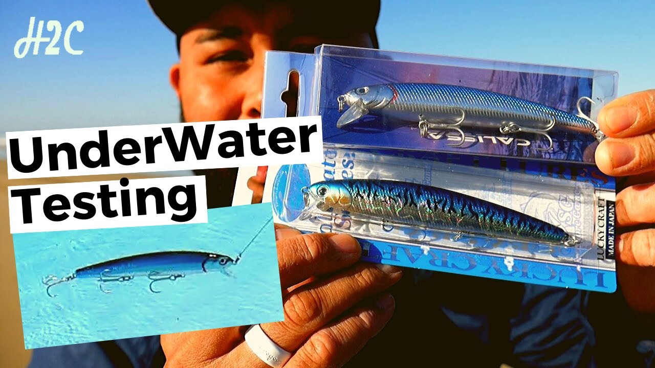 They Sent Us Lures to Test Calissa Flash Minnow v Lucky Craft Testing Under  water footage Pt 2 