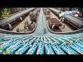 How bounty bars are made in factory  food processing machines