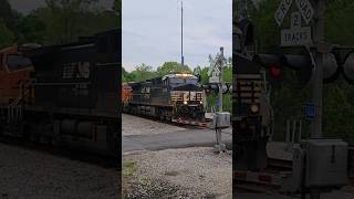 NS intermodal train with ex BNSF helpers🚂