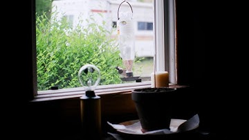 Displaying data , Sampling Methods