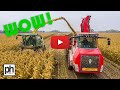 WOW - John Deere Forage Harvester & Holmer Chaser Bin - Maize Harvest