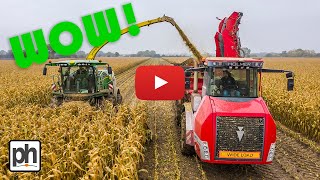 WOW - John Deere Forage Harvester & Holmer Chaser Bin - Maize Harvest