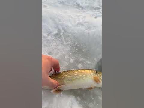 Щука исполняет желание - YouTube