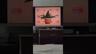 Plant 🪴 🌱 🌿 🌾 🌵 🏵 don't have mouth, Unless it's Stinky the Stinkweed Plant cameo in Elmo's World