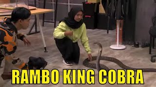 Rambo, King Cobra Milik Icha Yang Viral | LAPOR PAK! (18/05/21) Part 4