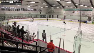 Vancouver Angels U18A1 vs Burnaby Wildcats - 12/10/2026