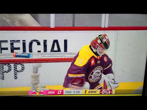 Late comeback? champions hockey league