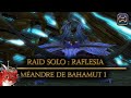 Raid solo  bahamut  ff aujourdhui je tourne   final fantasy xiv  mandre de bahamut 1