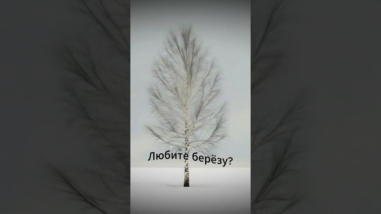 Сергей Есенин — «Берёза»: песня в стиле techno remix 🎶 | Поэзия в музыке