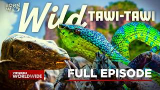 Tawi-Tawi - The Wildlife Mecca of the Philippines | Born To Be Wild (Full Episode)