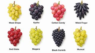 Every Type of Grape Explained 🍇