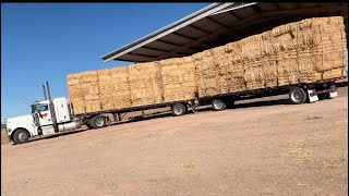 Hay Squeeze Loading Straw Hay Only 18