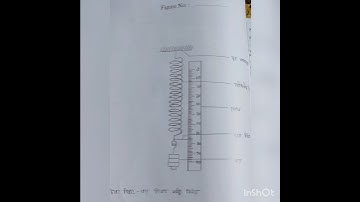 #video #hsc #physics 1st paper  practical 🤎
