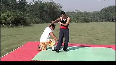 Master Xu Shi Xi, Wrestling Applications From Baguazhang (A)  徐世熙功夫系列 摔法A