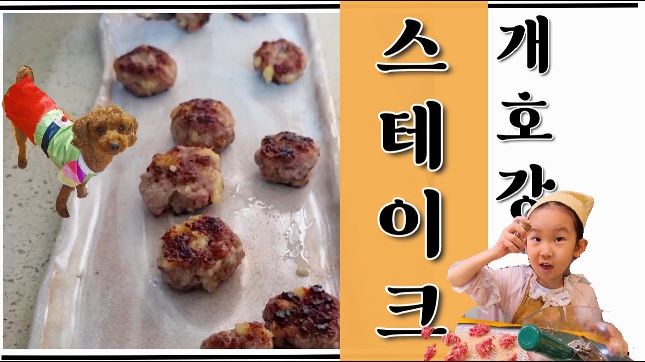 개호강의 끝은 무엇일까? 7살이 만드는 9살 강아지 스테이크/나는 가끔씩 견생을 꿈꾼다.