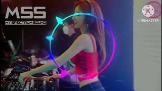 莫问归期 / Mo Wen Gui Qi 蒋雪儿 Jiang Xue Er - MSS DJ Remix Tiktok