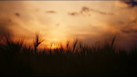 Home by Jeff Pearce (4K video)