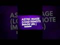 Load remote image url using AsyncImage in SwiftUI #swift #ios #swiftui #swiftprogramming #ios18