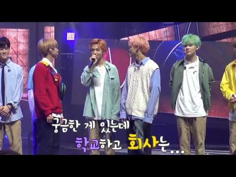 [NCT DREAM] 궁금한게 있는데 학교하고 회사는..