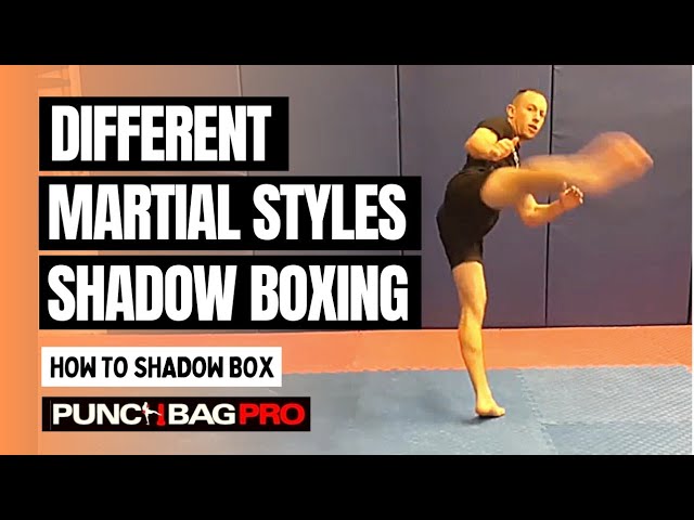 The Art of Shadowboxing, Why We Shadowbox