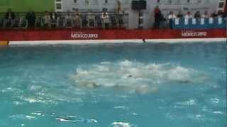 World Trophy 2012 Highlight The Netherlands