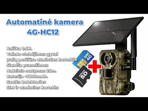 Vaizdo įrašo miniatiūra