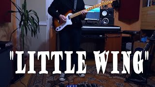 Bias Mini Head - "Little Wing"  - Telecaster Thinline + APG Pickups