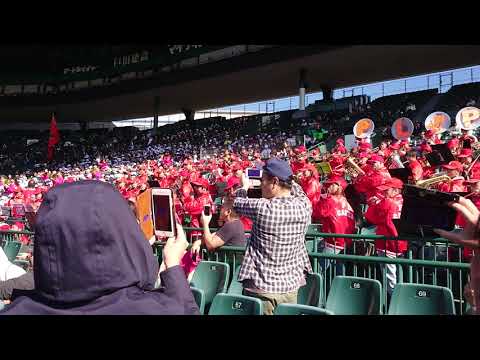 2019年11月9日・マスターズ甲子園・PL学園応援団・『ヴィクトリー』